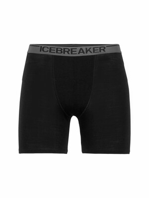 ICEBREAKER Športové nohavičky  sivá / čierna