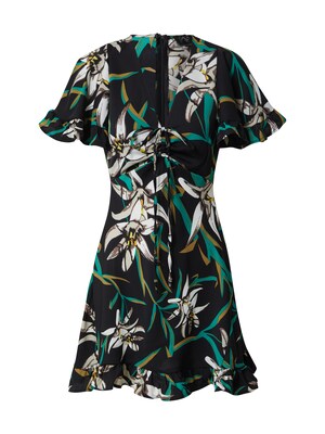AX Paris Šaty 'Tropical'  zmiešané farby